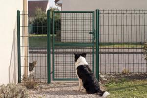 Portail grillagé 4m OLGA H.150cm + Portillon 1m OLGA H.150cm vert 25