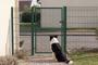 Portail grillagé 4m OLGA H.150cm + Portillon 1m OLGA H.150cm vert thumbnail 25