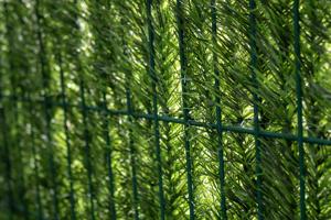 Artificial Hedge 15m PICO H.150cm 110 strands 8