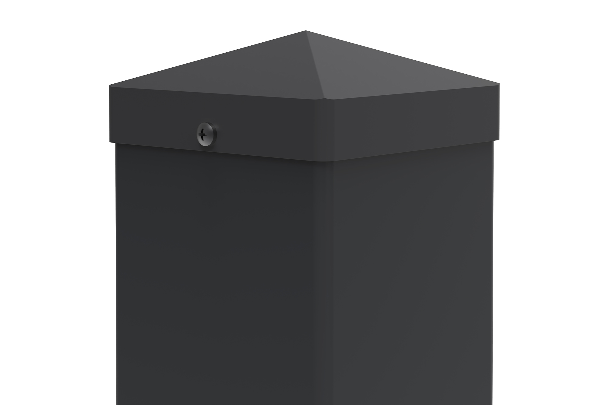 2 CARMO geležinių stulpų rinkinys, 10x10 cm, aukštis 125 cm, juodi 2