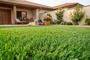 PELMO synthetic turf 1m x 15m - 20mm main_image thumbnail