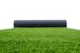 Trawa syntetyczna PELMO 1m x 5m - 30mm 12